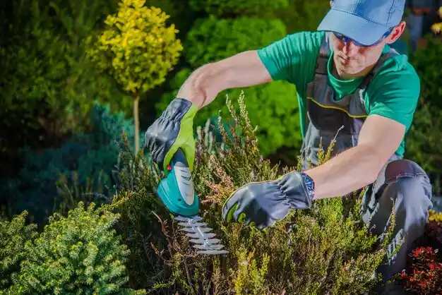landscaping services Abbeville